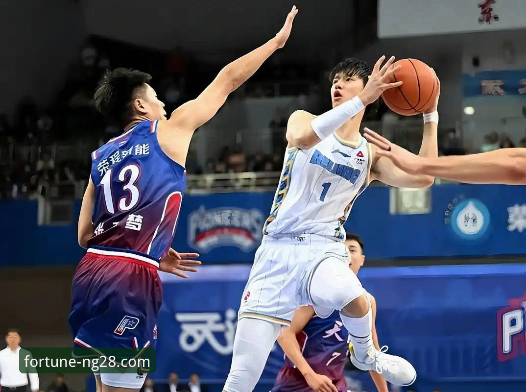 NG28使用教程 揭秘上海男篮12连胜背后的战术密码:一场流畅的团队胜利是如何炼成的